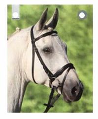 STAR r.full.cob.pony ogłowie LIVESTYLE black