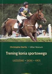 Trening konia sportowego