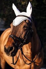 COVALLIERO Nauszniki Classic